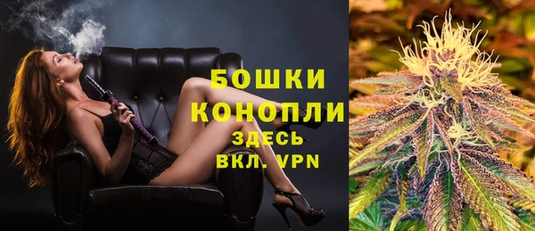 крисы Чердынь