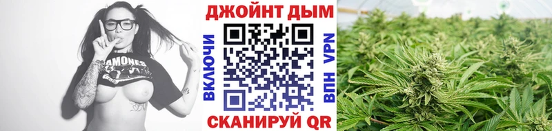 Купить где  Сафоново  Канабис MAZAR 